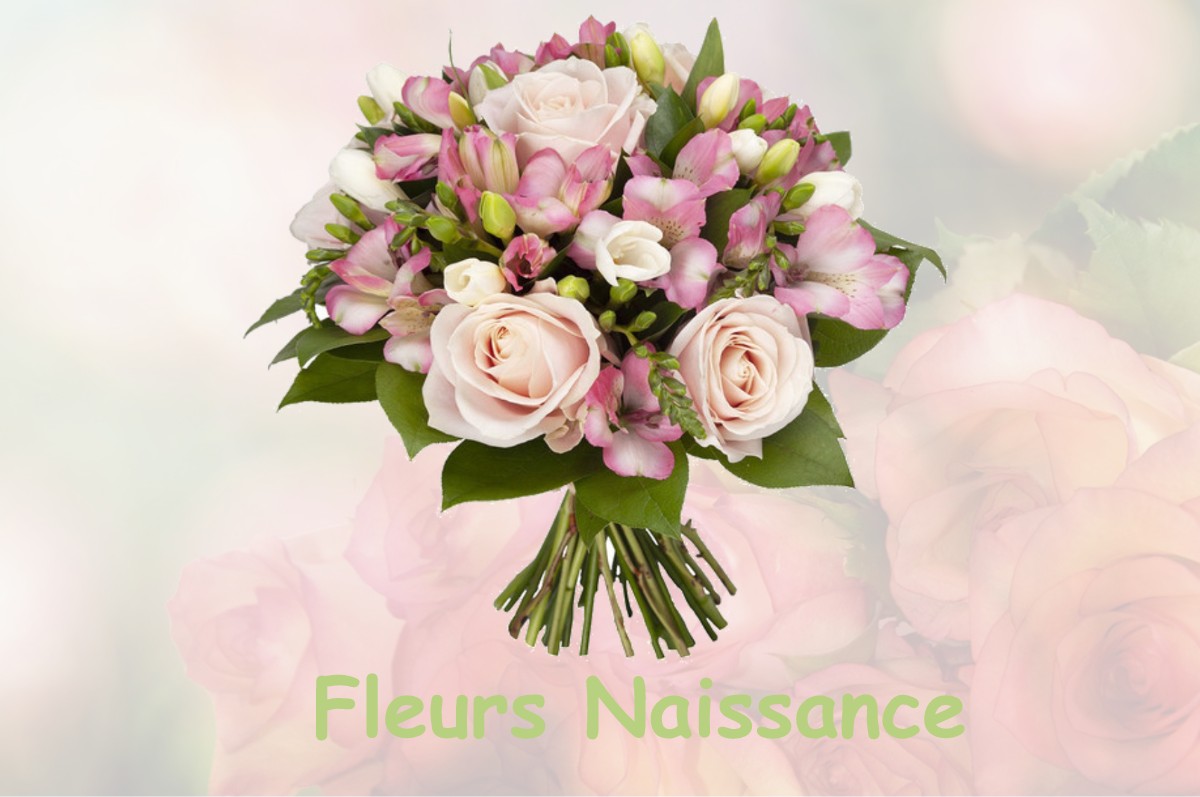 fleurs naissance ETREPIGNEY