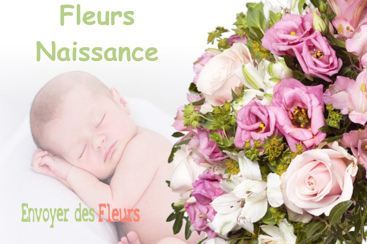 lIVRAISON FLEURS NAISSANCE à ETREPIGNEY